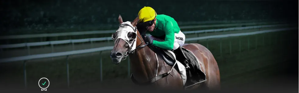 武汉攀岩联,赛首战完美,收官,世界杯预选赛,2026赛程,球队分析,最新动态,预选赛资讯