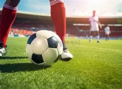 组欧冠第,拜仁慕尼黑,加拉塔萨雷,世界杯预选赛,2026赛程,球队分析,最新动态,预选赛资讯