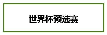 世界杯预选赛